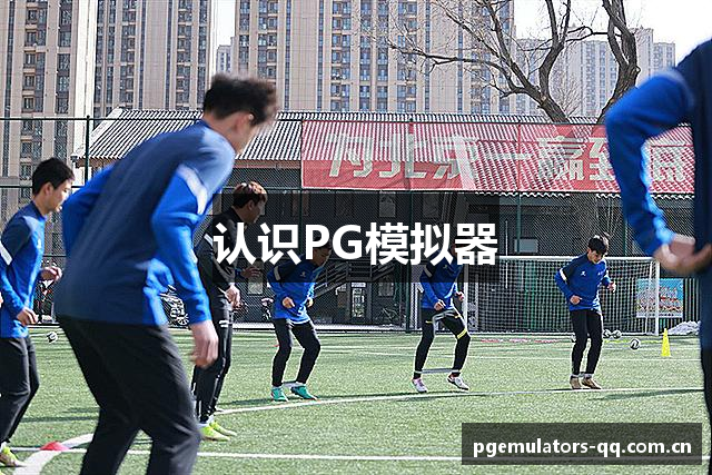 认识PG模拟器
